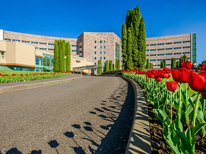 Санаторий «Заря», Кисловодск. Территория